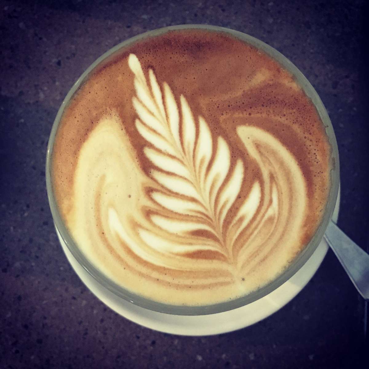 Finch Cafe — photograph 8