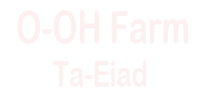 O-OH Farm Ta-Eiad