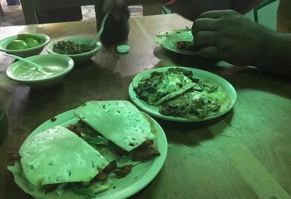 Los Nopales — photograph 9