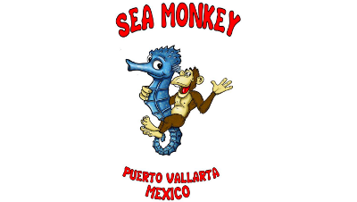logo.png