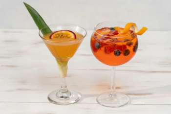 5 Tips To Follow When Crafting A Cocktail