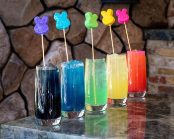 The Best Cocktail Recipes for Professional Bar Service
