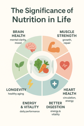 Daily Nutrition Tips for a Busy Lifestyle