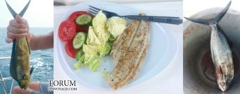 Breakfast Bliss at Blue Fish Cabo – Palmilla’s Coastal Comfort