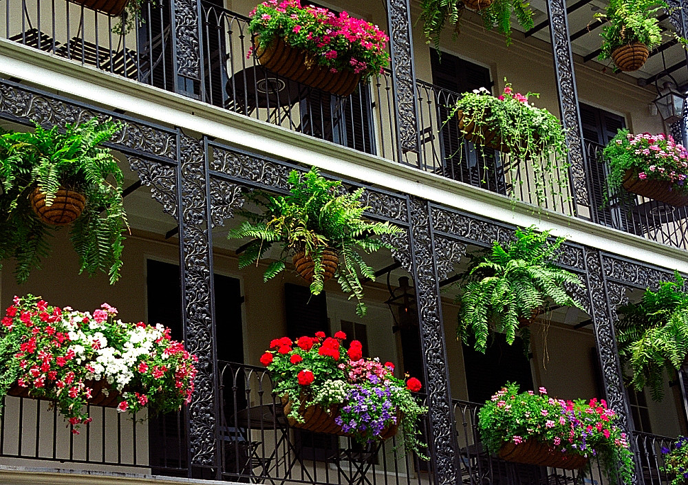 Wrought-iron balconies above a street in the New Orleans French Quarter