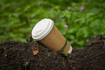 Pack sugarcane bagasse product- Green Future For Bio & Compostable Food Packaging