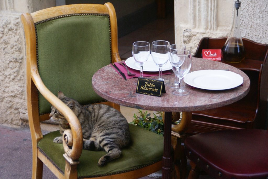 Restaurant No-Show Fees, Explained: Holds, Windows, Refunds