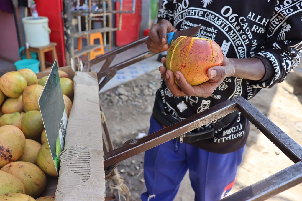 Fresh mango being peeled