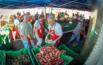 Why Most Event Food Lines Collapse Under Pressure